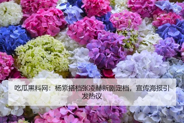 吃瓜黑料网：杨紫搭档张凌赫新剧定档，宣传海报引发热议